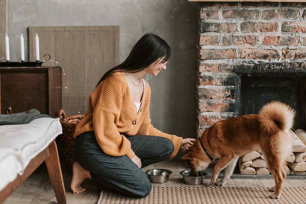 donna che accarezza il cane vicino ad un camino