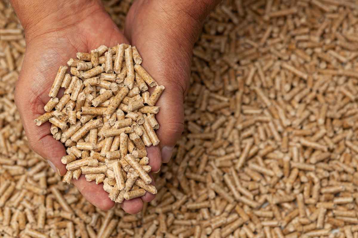 mano che raccogliere del pellet